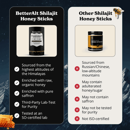 BetterAlt Himalayan Shilajit Honey Sticks Cinnamon