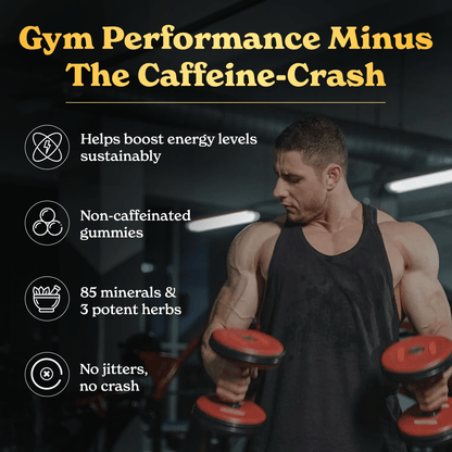 GOLD+ Shilajit Resin Gummies