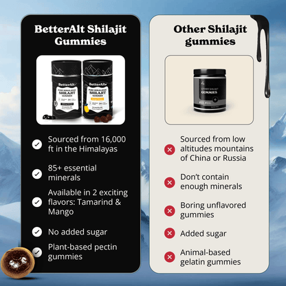 BetterAlt Himalayan Shilajit Mango Gummies