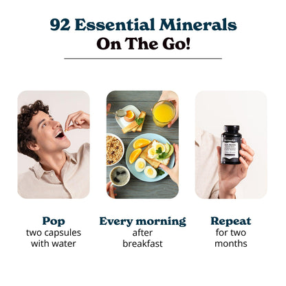 BetterAlt Sea Moss Capsules